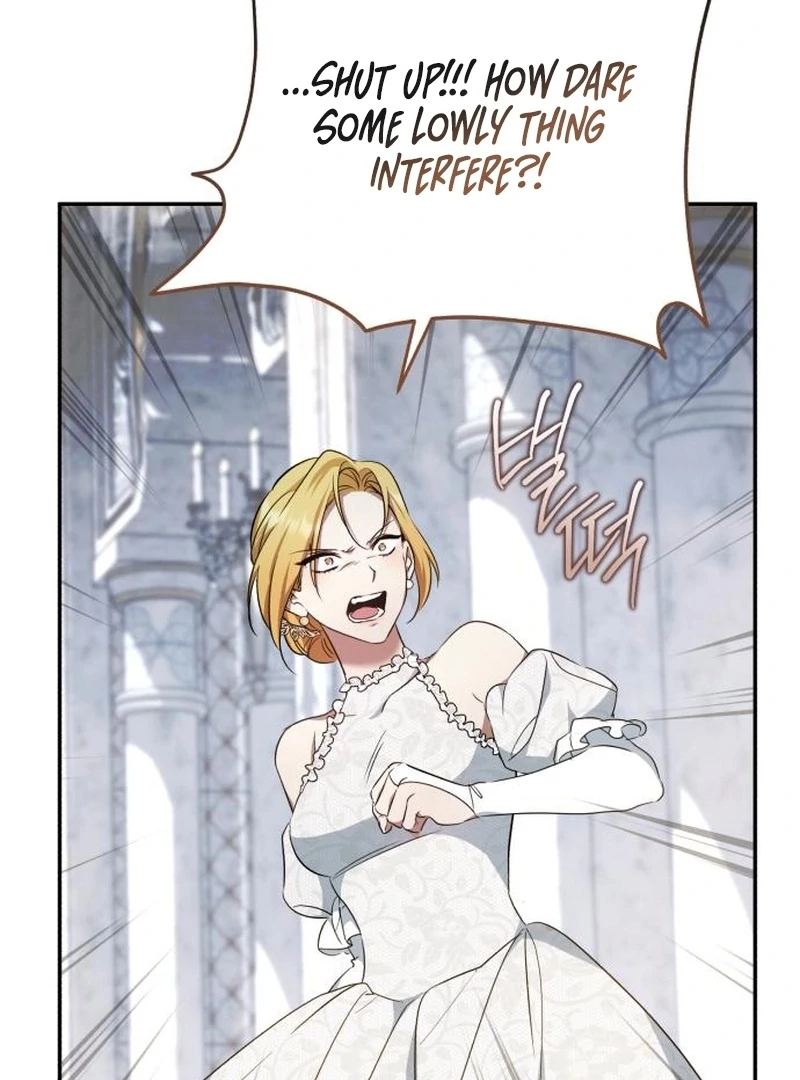 Read My Husband Was Stolen Twice Manga Online