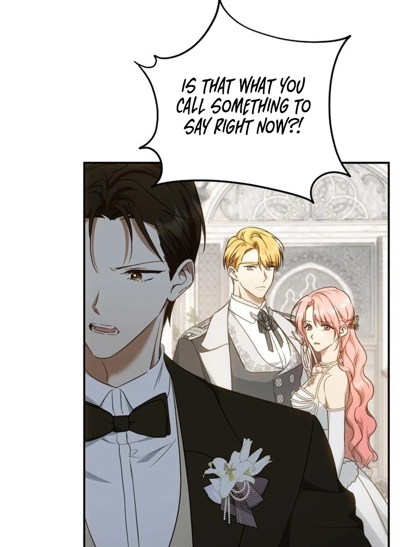 Read My Husband Was Stolen Twice Manga Online