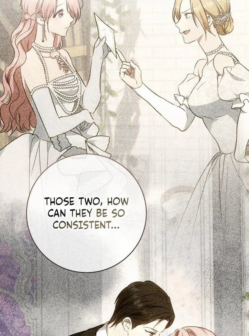 Read My Husband Was Stolen Twice Manga Online