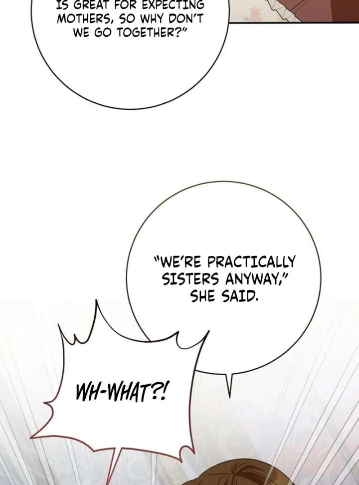 Read My Husband Was Stolen Twice Manga Online