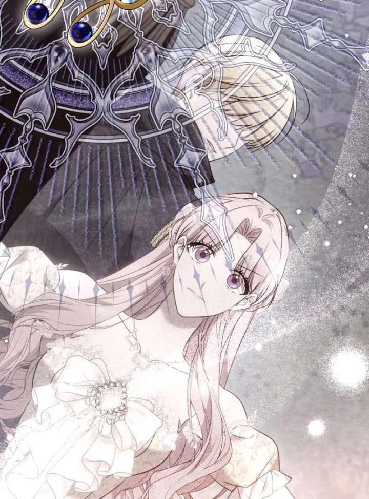 Read My Husband Was Stolen Twice Manga Online