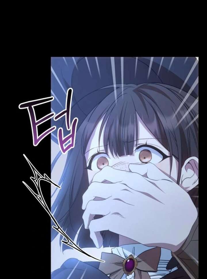 Read My Husband Was Stolen Twice Manga Online