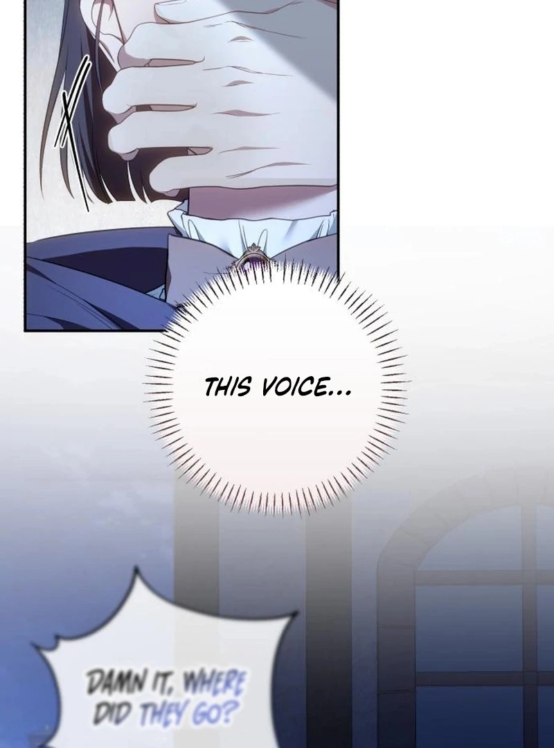 Read My Husband Was Stolen Twice Manga Online