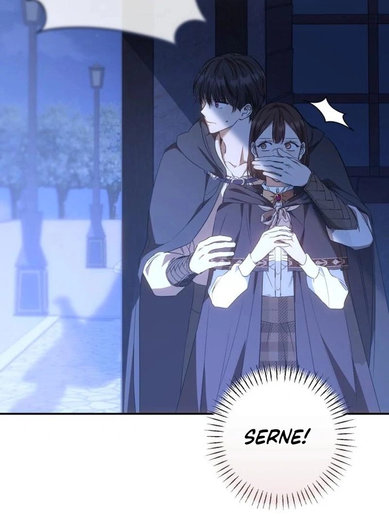 Read My Husband Was Stolen Twice Manga Online