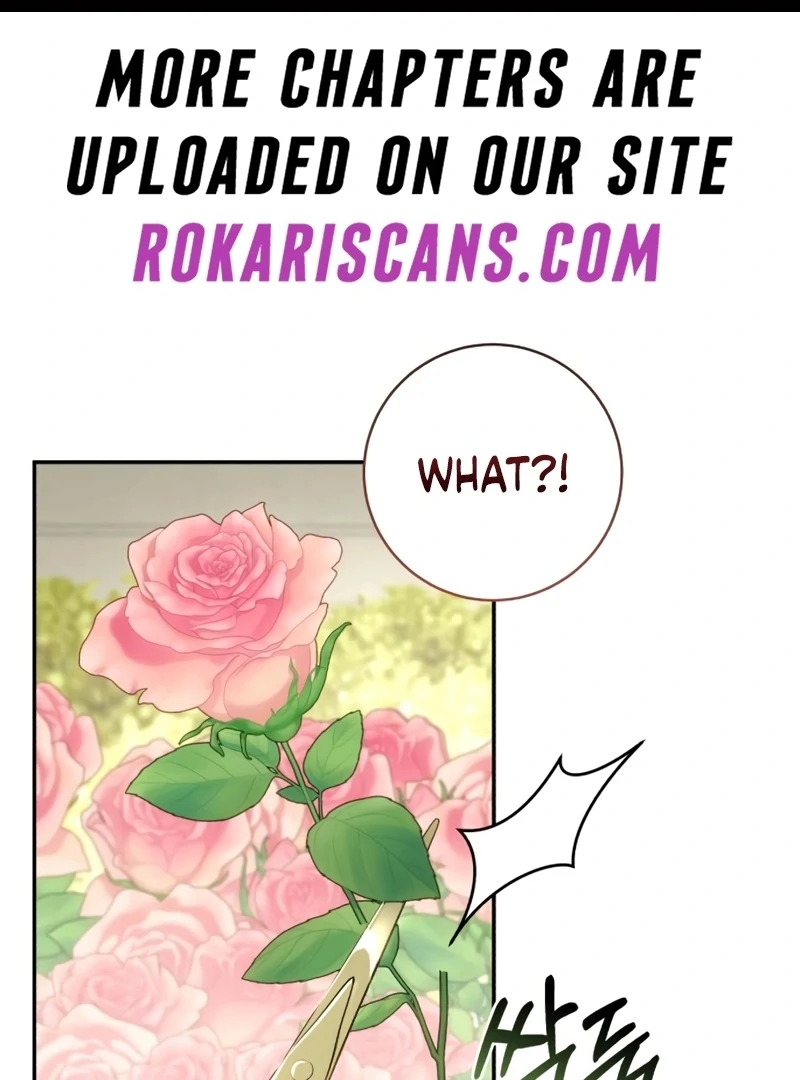 Read My Husband Was Stolen Twice Manga Online