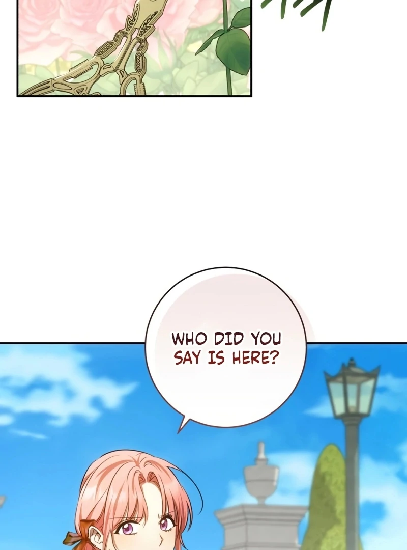 Read My Husband Was Stolen Twice Manga Online