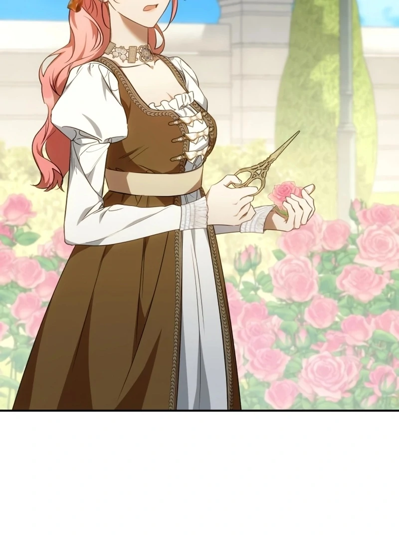 Read My Husband Was Stolen Twice Manga Online