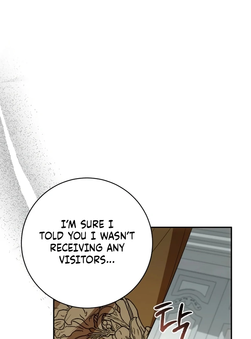 Read My Husband Was Stolen Twice Manga Online