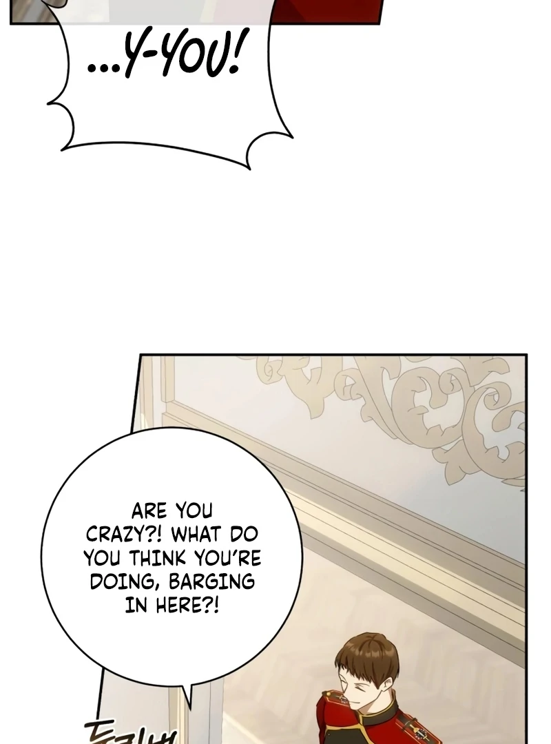 Read My Husband Was Stolen Twice Manga Online