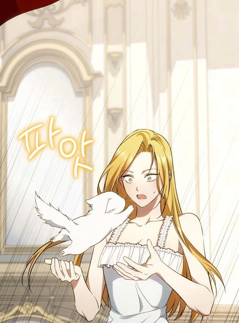 Read My Husband Was Stolen Twice Manga Online