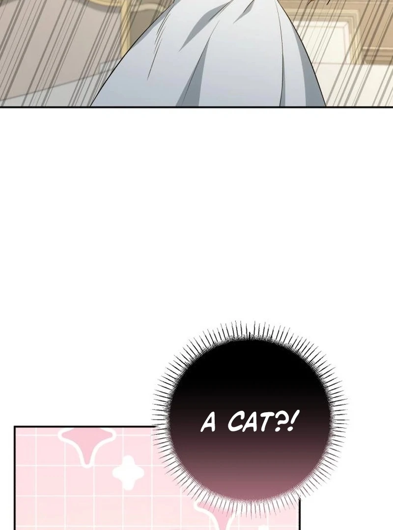 Read My Husband Was Stolen Twice Manga Online