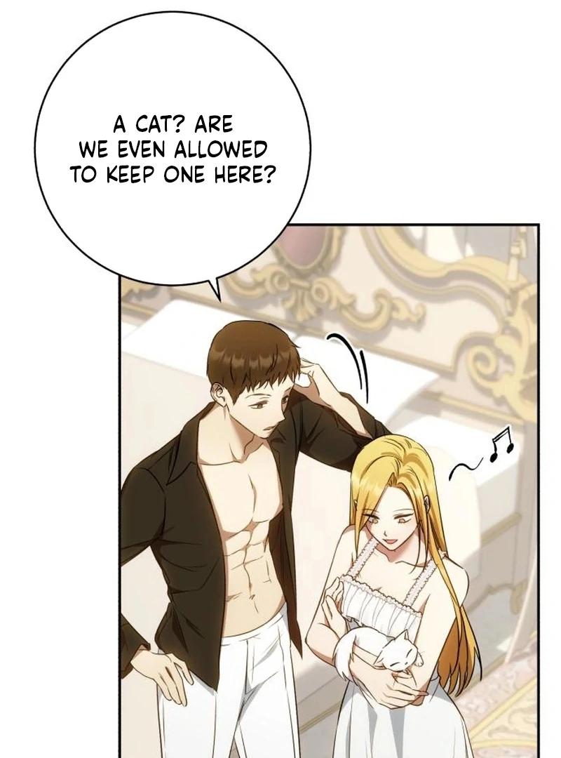 Read My Husband Was Stolen Twice Manga Online