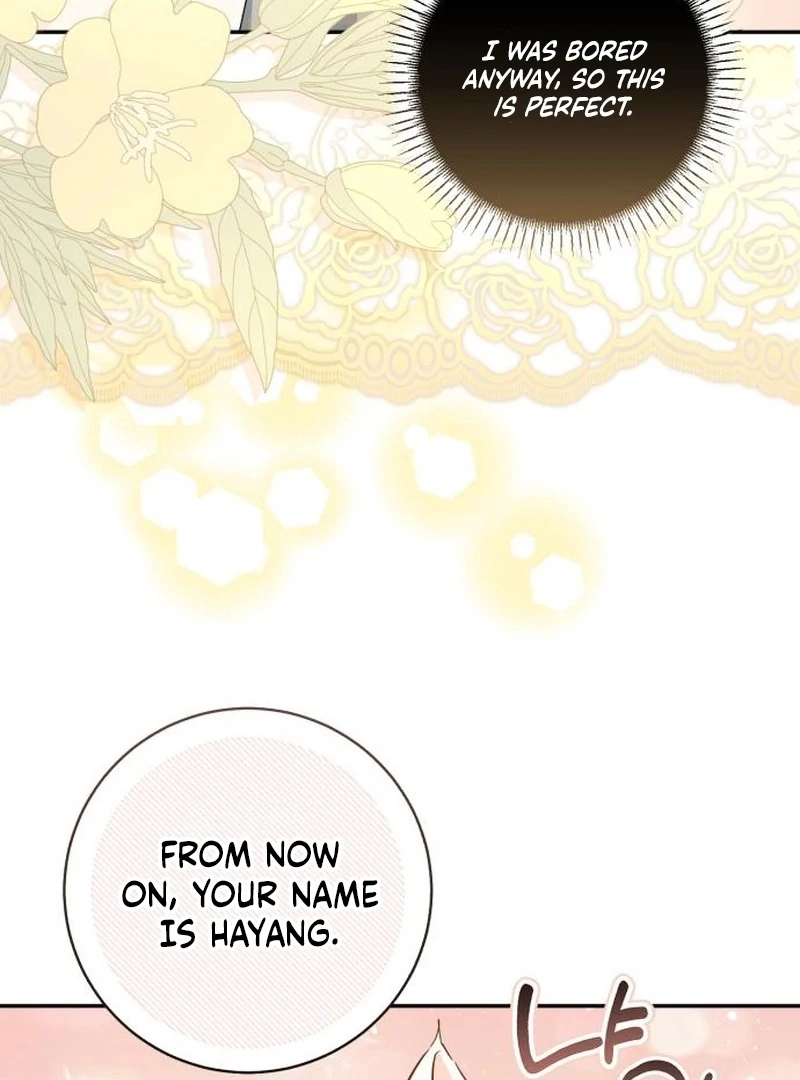 Read My Husband Was Stolen Twice Manga Online