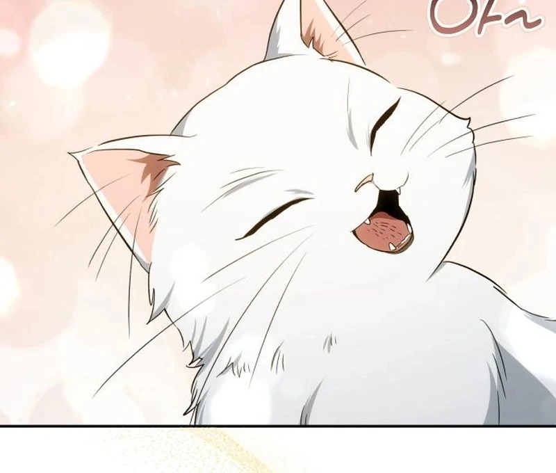 Read My Husband Was Stolen Twice Manga Online