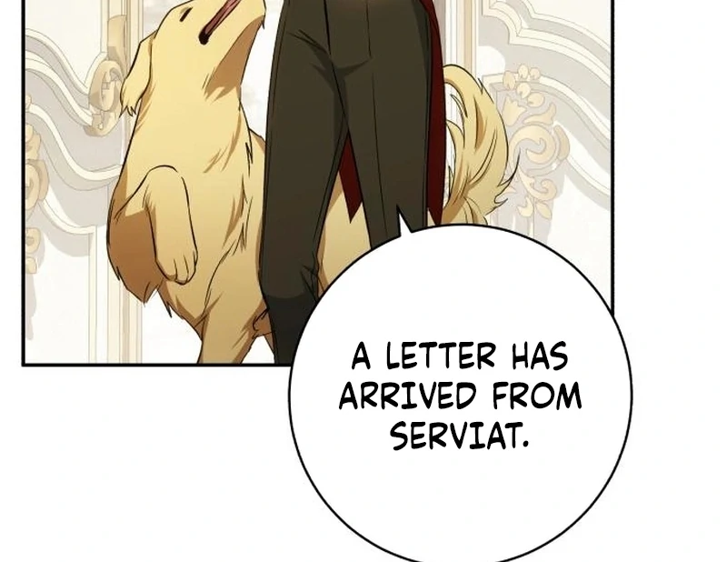 Read My Husband Was Stolen Twice Manga Online