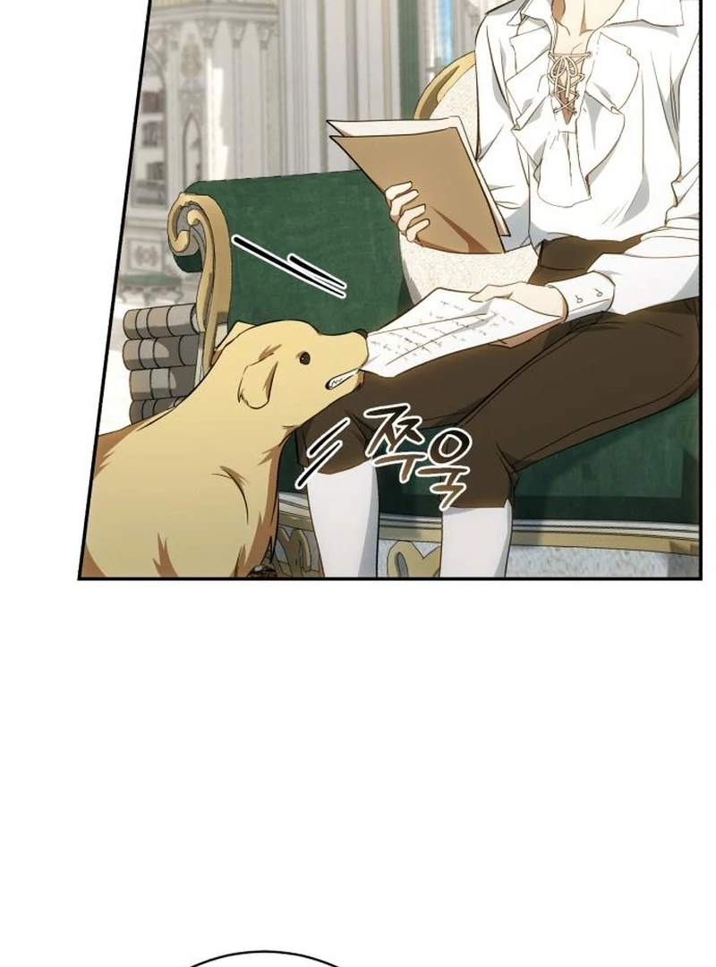 Read My Husband Was Stolen Twice Manga Online