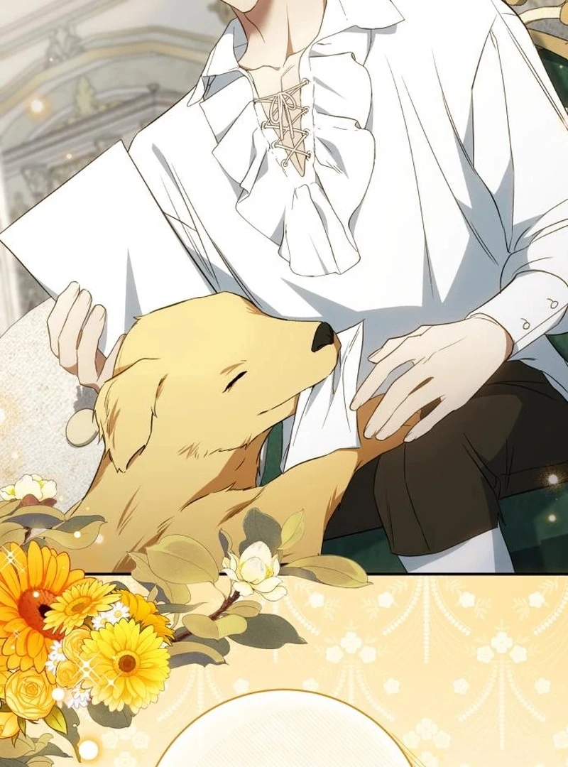 Read My Husband Was Stolen Twice Manga Online