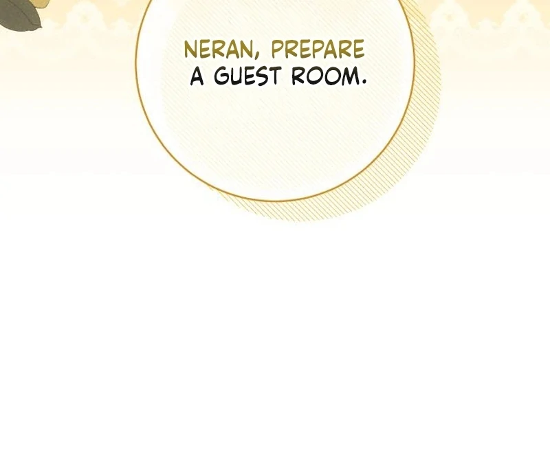 Read My Husband Was Stolen Twice Manga Online