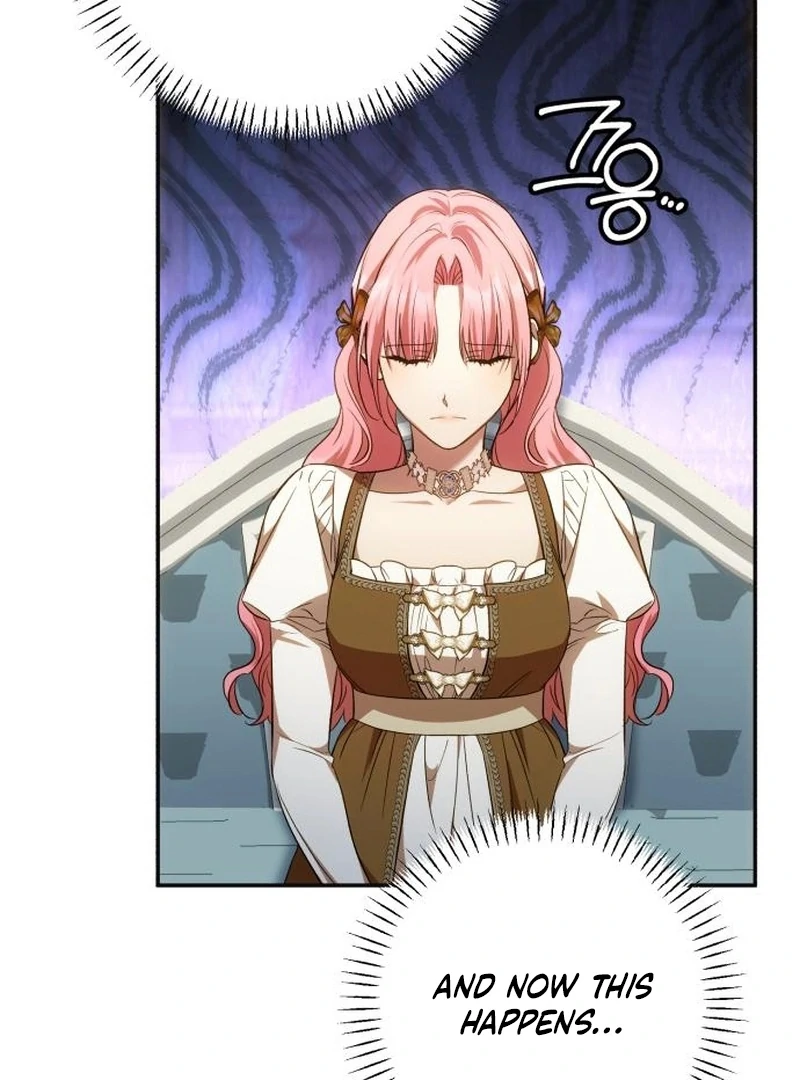 Read My Husband Was Stolen Twice Manga Online