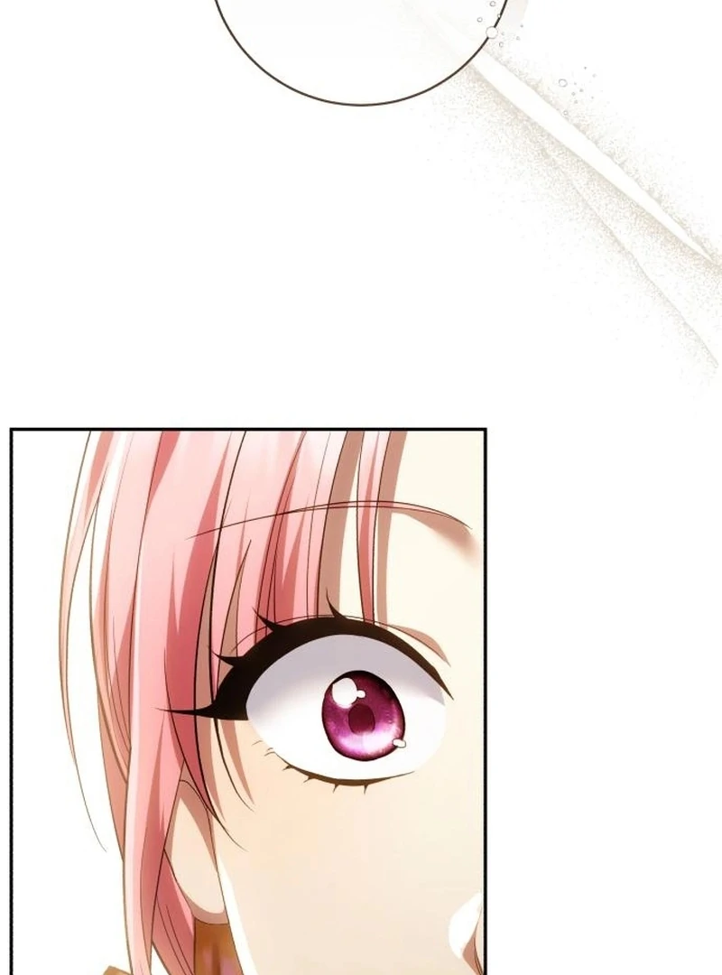 Read My Husband Was Stolen Twice Manga Online