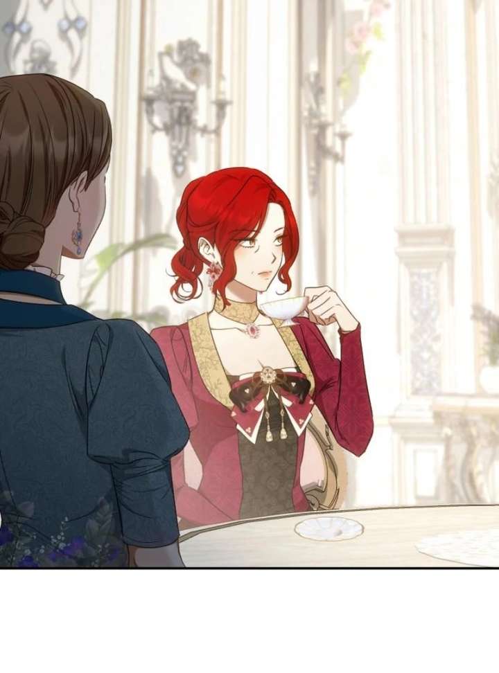 Read My Husband Was Stolen Twice Manga Online