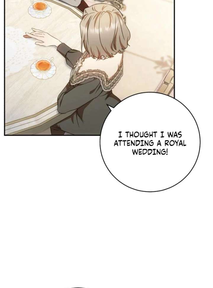 Read My Husband Was Stolen Twice Manga Online