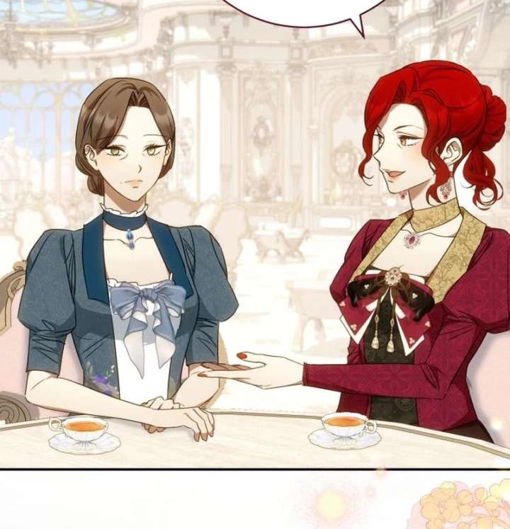 Read My Husband Was Stolen Twice Manga Online