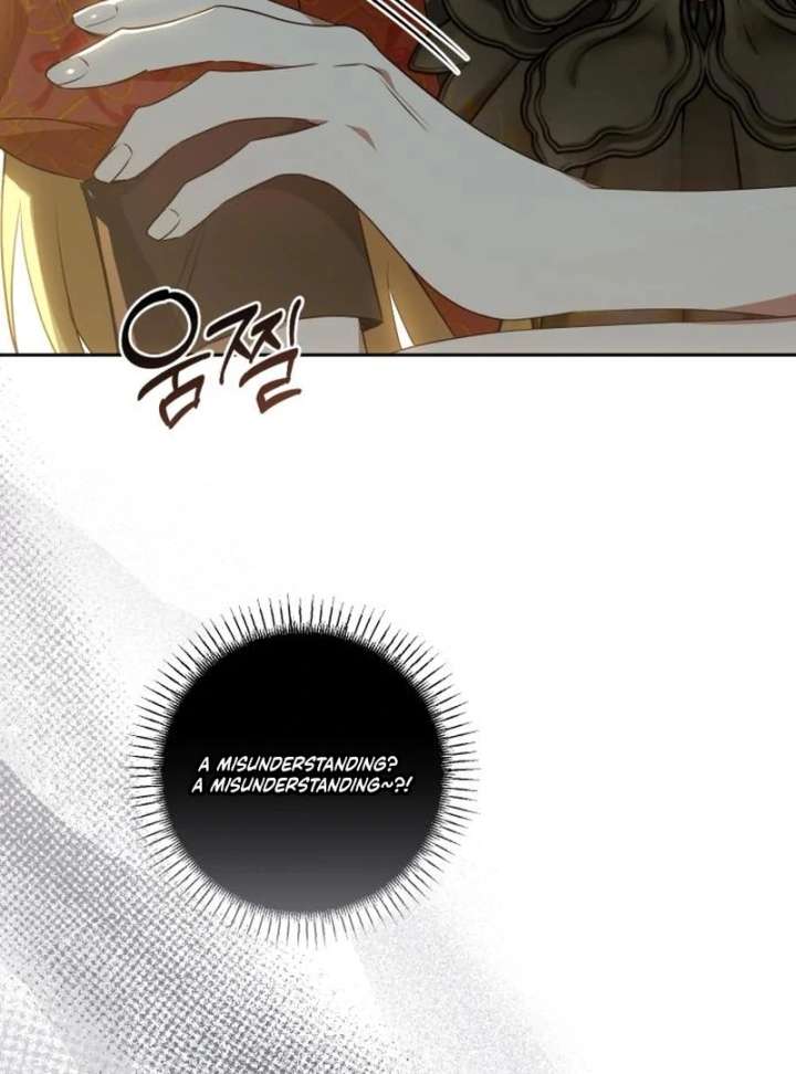 Read My Husband Was Stolen Twice Manga Online