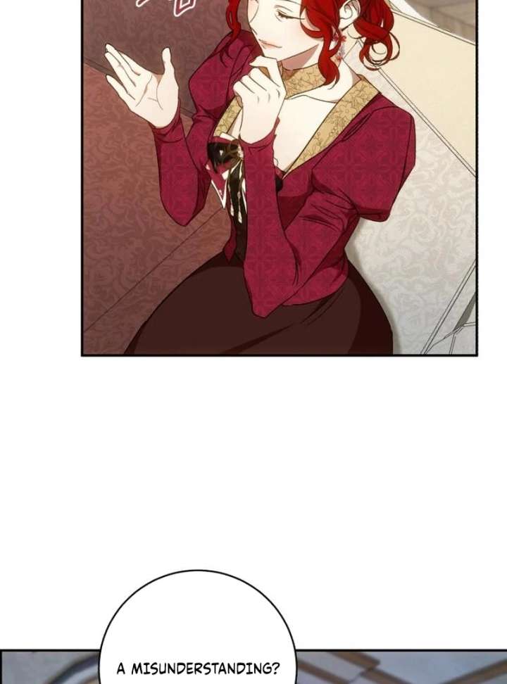 Read My Husband Was Stolen Twice Manga Online