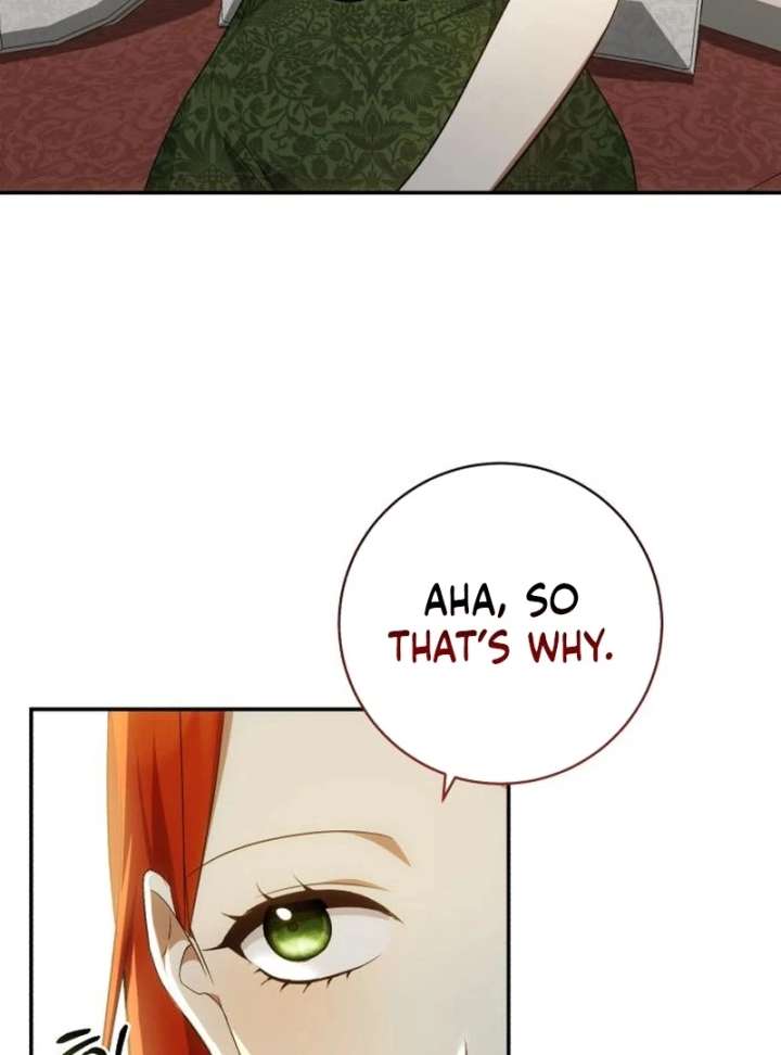 Read My Husband Was Stolen Twice Manga Online