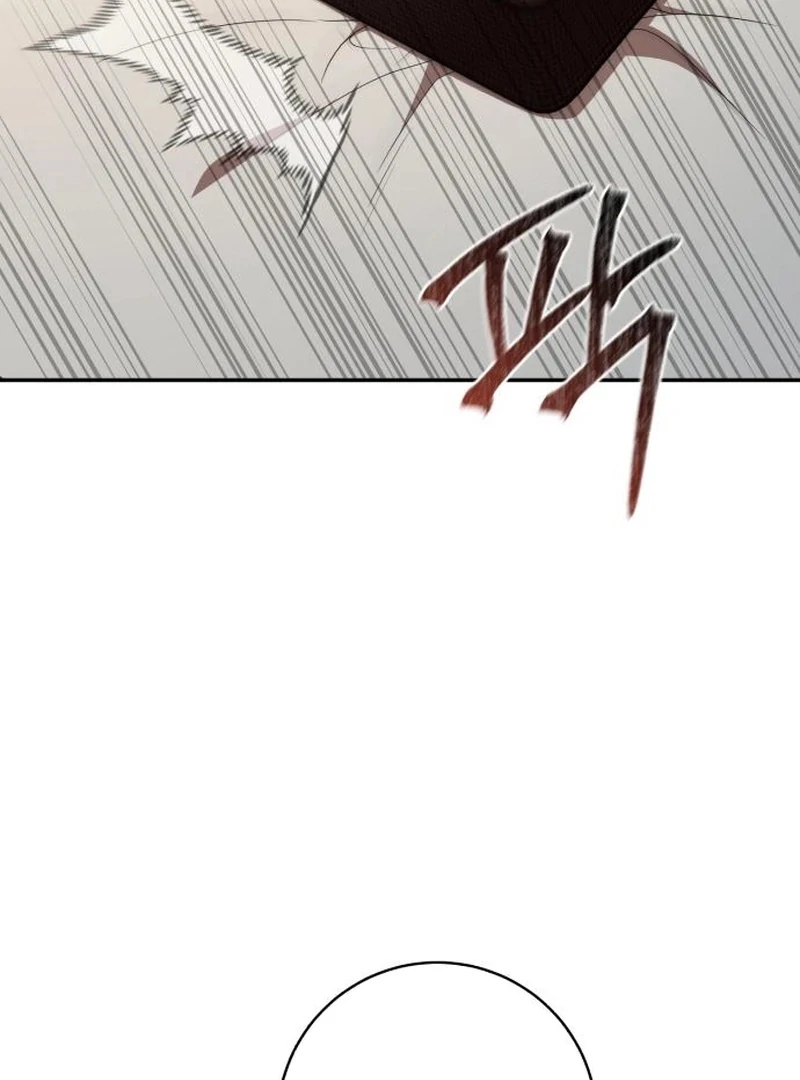 Read My Husband Was Stolen Twice Manga Online