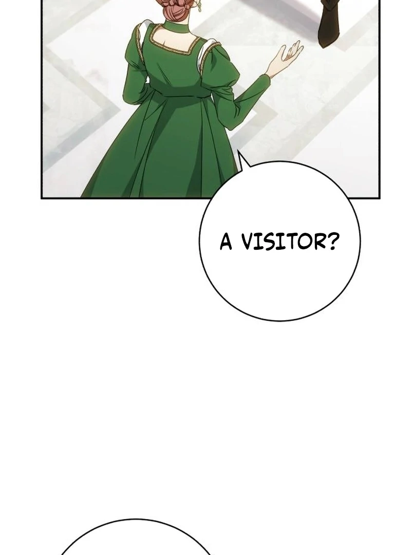 Read My Husband Was Stolen Twice Manga Online