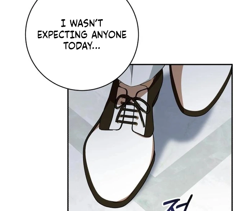 Read My Husband Was Stolen Twice Manga Online