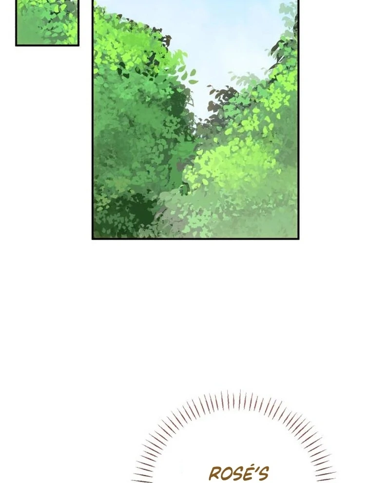 Read My Husband Was Stolen Twice Manga Online