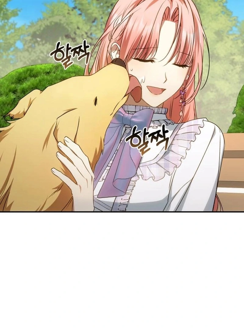 Read My Husband Was Stolen Twice Manga Online