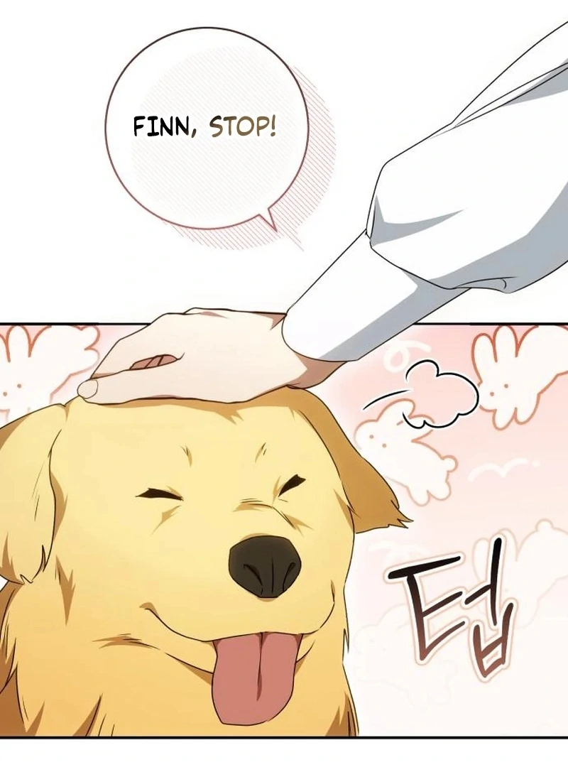 Read My Husband Was Stolen Twice Manga Online