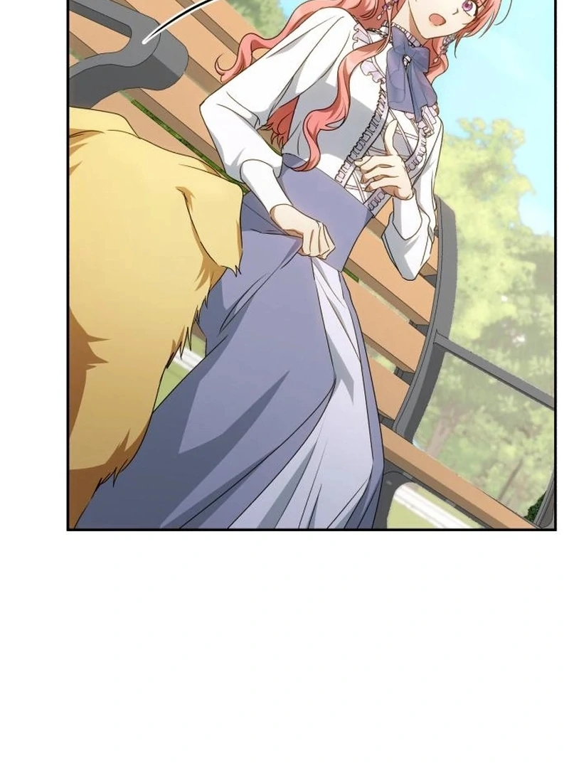 Read My Husband Was Stolen Twice Manga Online