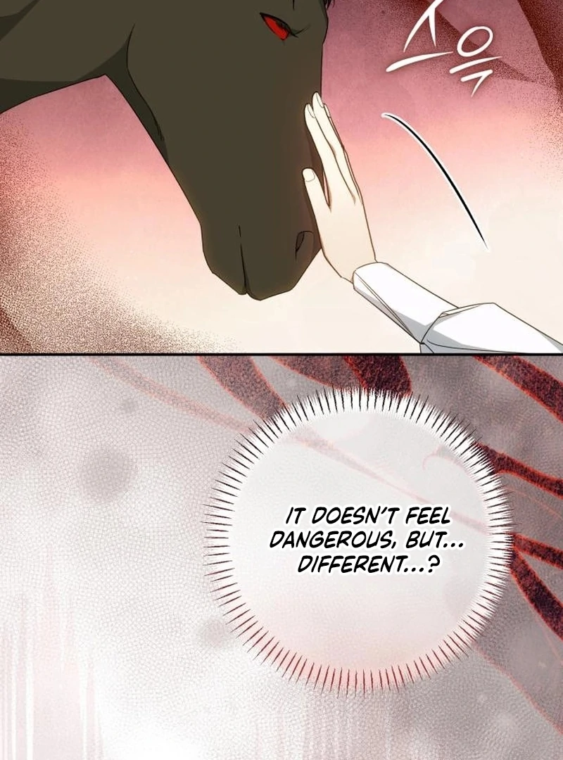 Read My Husband Was Stolen Twice Manga Online