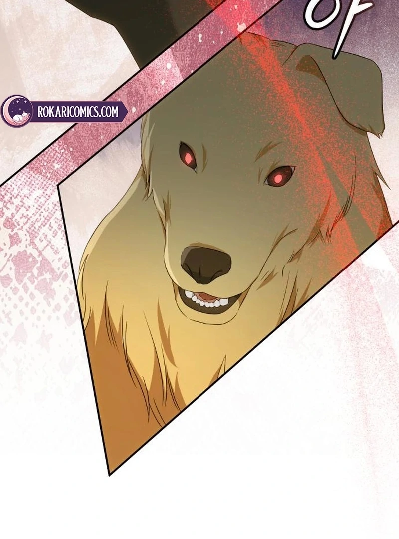 Read My Husband Was Stolen Twice Manga Online