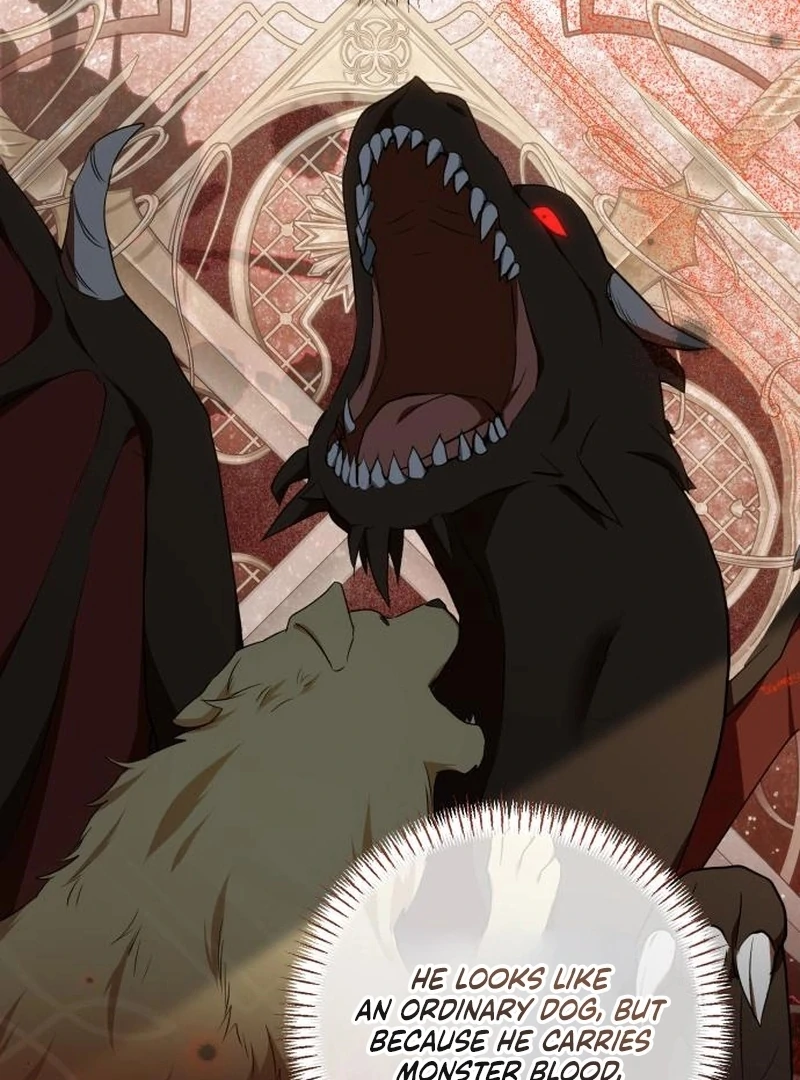 Read My Husband Was Stolen Twice Manga Online