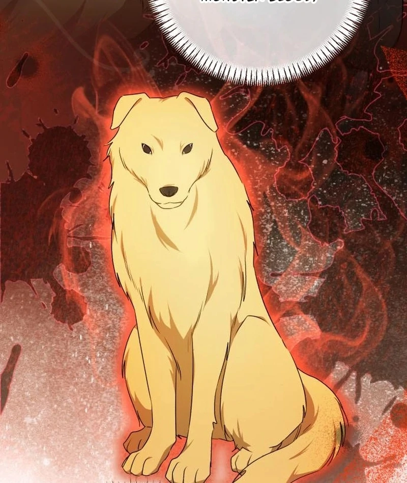 Read My Husband Was Stolen Twice Manga Online