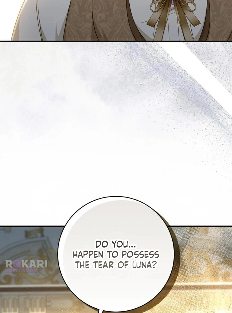 Read My Husband Was Stolen Twice Manga Online