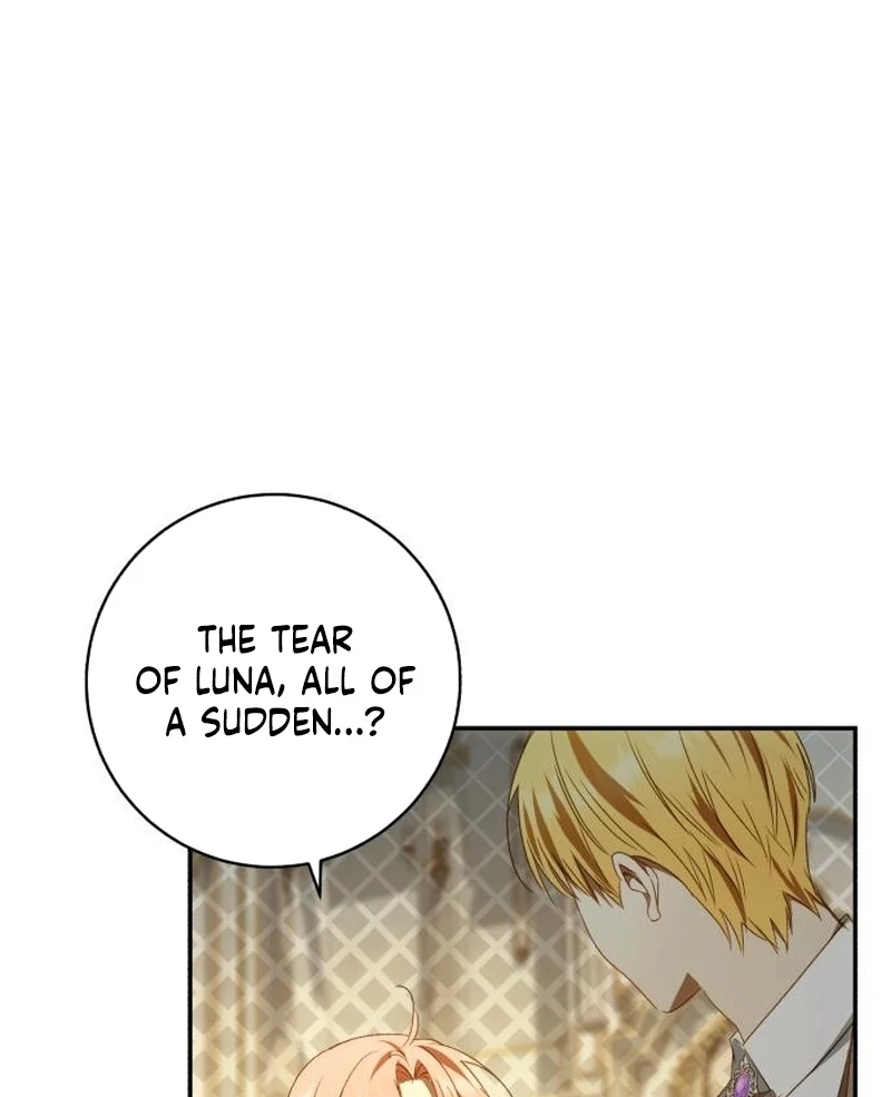 Read My Husband Was Stolen Twice Manga Online