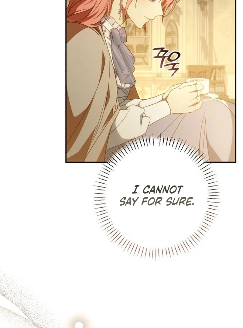 Read My Husband Was Stolen Twice Manga Online