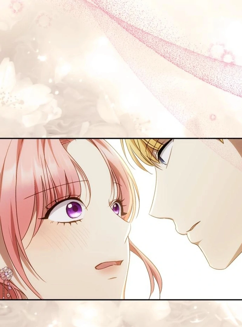 Read My Husband Was Stolen Twice Manga Online