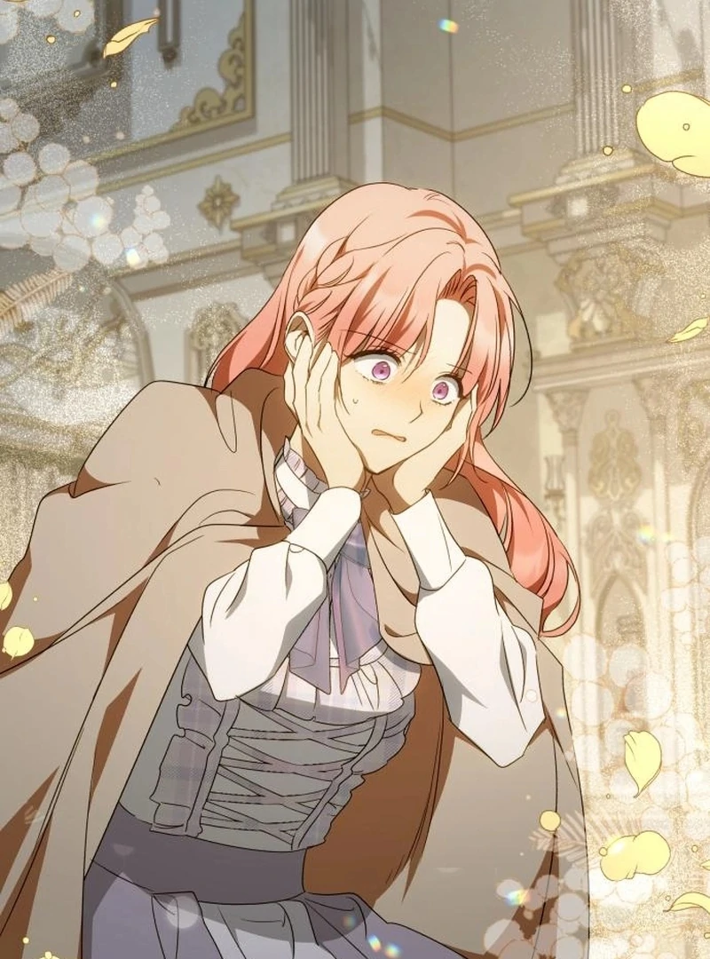 Read My Husband Was Stolen Twice Manga Online