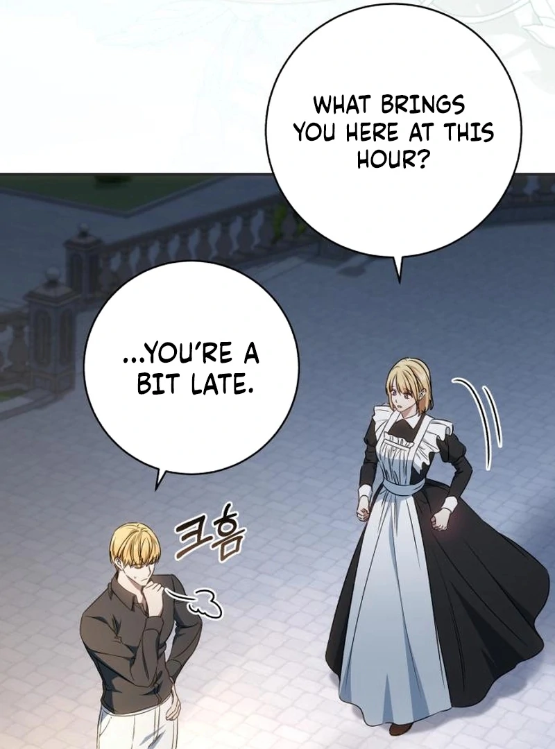 Read My Husband Was Stolen Twice Manga Online