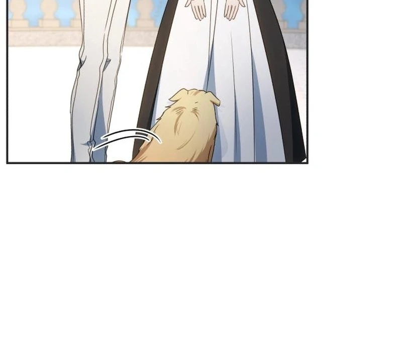 Read My Husband Was Stolen Twice Manga Online