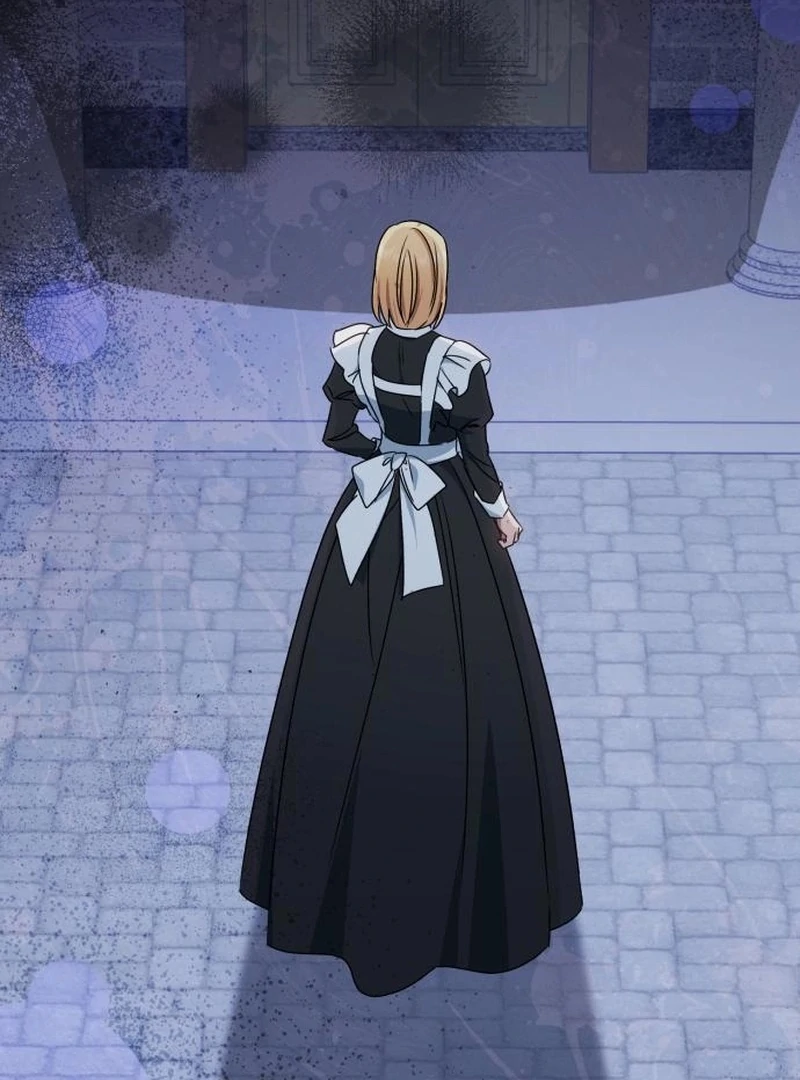 Read My Husband Was Stolen Twice Manga Online