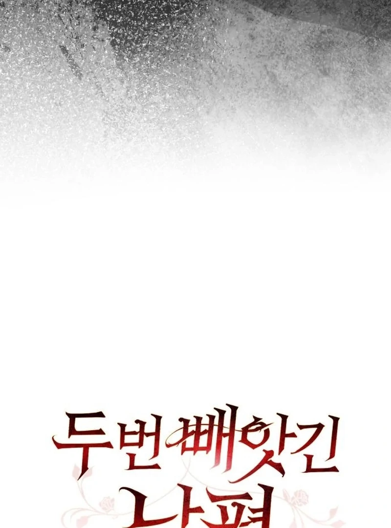 Read My Husband Was Stolen Twice Manga Online